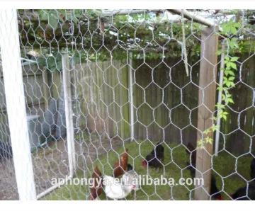 Anping galvanized hexagonal wire mesh/ chicken wire / PVC coated chicken fence