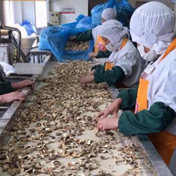 Top Quality Dried Shiitake Mushroom Slices