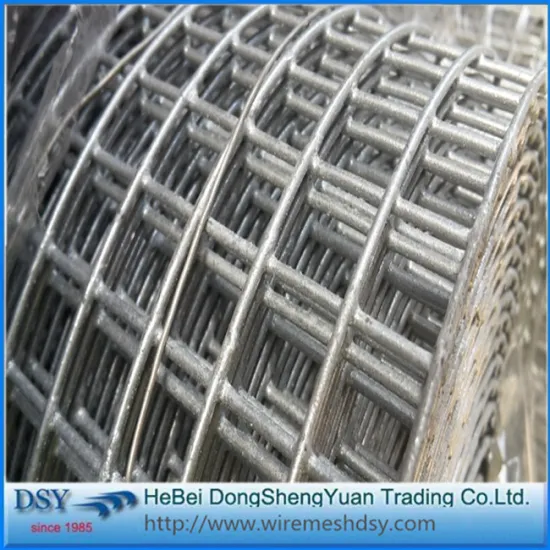 New Galvanized Welded Wire Mesh Panel For Floor Heating