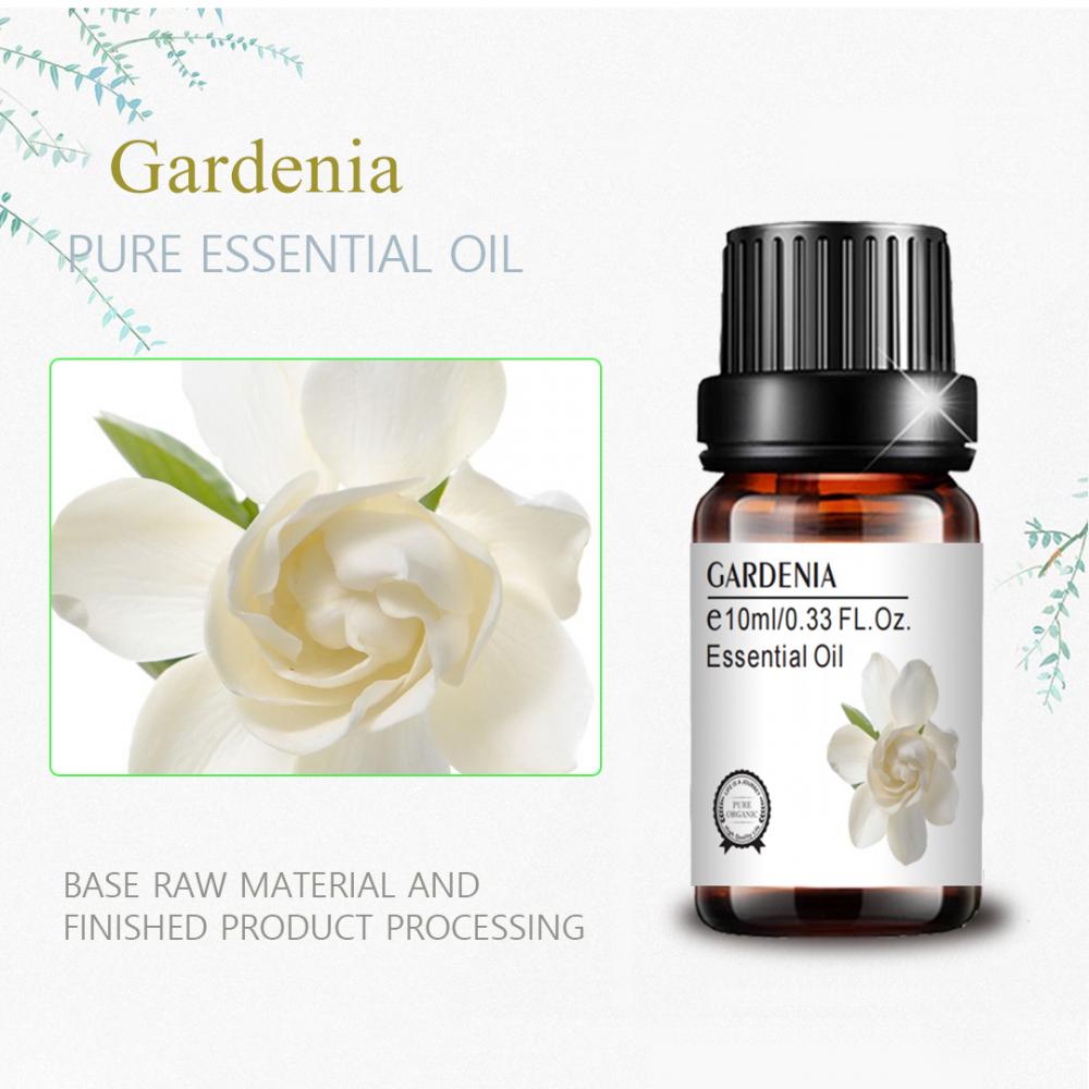 2022 برچسب خصوصی جدید Gardenia روغن برای آروماتراپی ماساژ