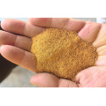 Golden Color Corn gluten meal (CGM) For Feedmill