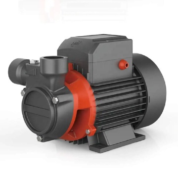 LEO 0,125 kW 0,15 PS Automatische selbstprimierende periphere Pumpe