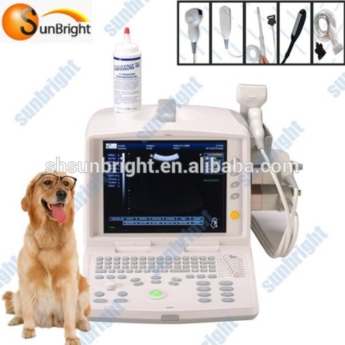 Veterinary PC-based ultrasound system