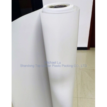 Custom Print Roll Plastic Film Inkjet Printing PVC Coated Overlay Rigid  Frosted Plastic Transparent PVC Sheet for Card - China Laser Overlay Film,  Overlay Film