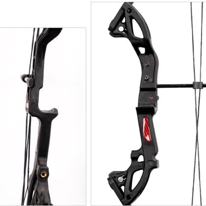 Professional Wooden Bow Archery Recurve Bow and Arrow Game Set for Sale