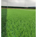 Partículas de relleno de césped EPDM