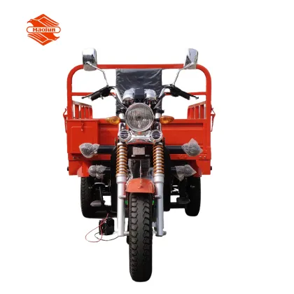 Custom Motorized Tricycles and Other Tricycles