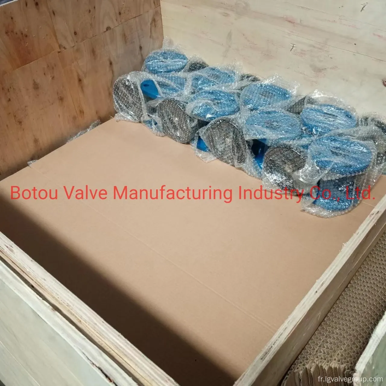 BTVAL ANSI 4 ′ ′ DN100 150lb Valve industrielle