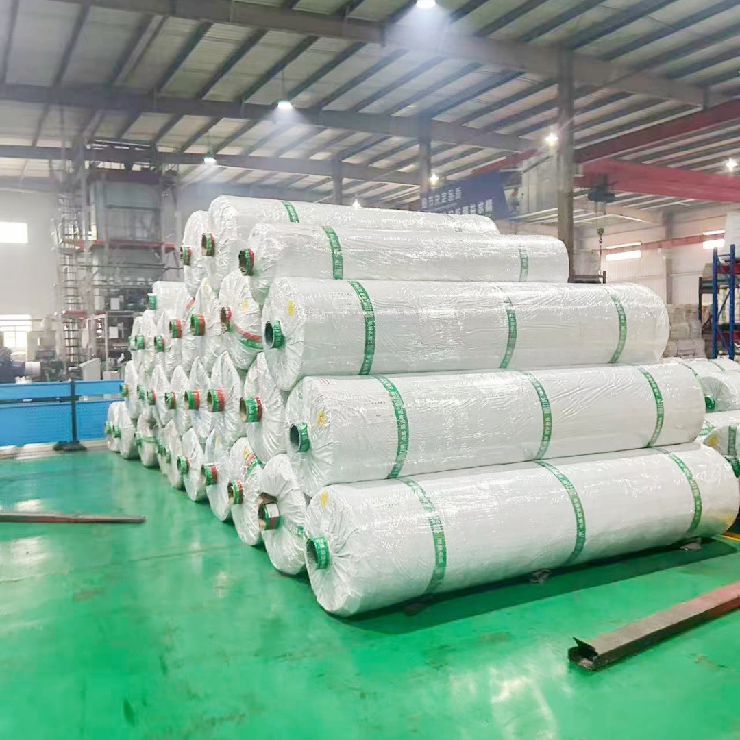 horticulture_hyroponic greenhouse covering sheet plastic film (8)
