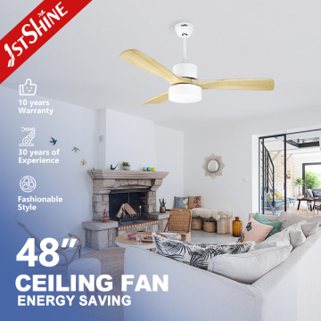 1sthine ventilateur de plafond réversible avec lumière pour l'hiver et l'été