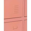 Colorful 6 Door Almirah Locker Designs for Gym