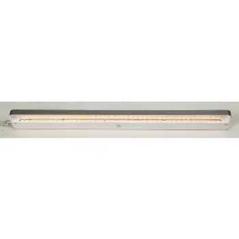 Decorative Lighting