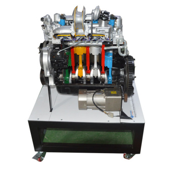 Anatomy Display Stand Engine Training Model for Educational Purposes