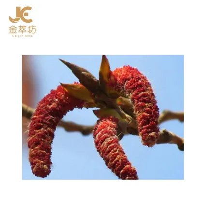 Factory direct sales China cheap anti-immunosuppressant Aspen flower extract
