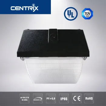 3years Warranty Meanwell Driver LED Canopy Light UL DLC 40w LED Ceiling Lamp Canopy