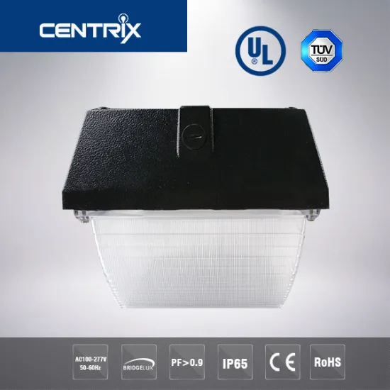 3years Warranty Meanwell Driver LED Canopy Light UL DLC 40w LED Ceiling Lamp Canopy