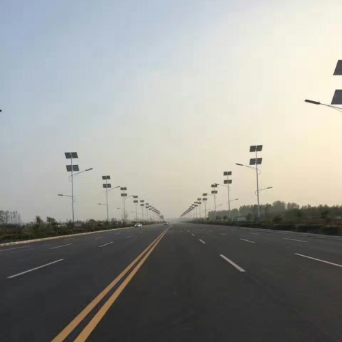 Professional  IP66 Solar Street Light