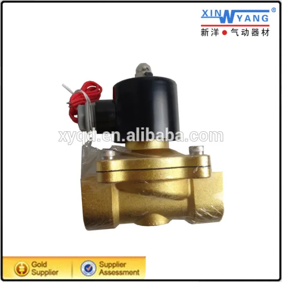 2W type 2 way DC24V/AC110V solenoid water valve