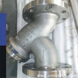 Flanged Ss Screen Y Type Strainer