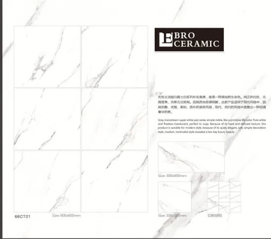Carrara Marble or Bianco White Matt Finish Rustic Porcelain Tile 60x60