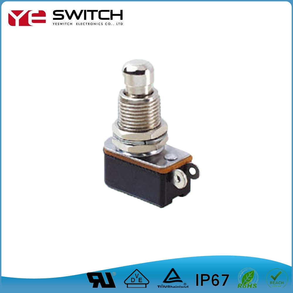 Push Button Switches