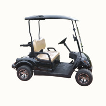 Vente de voiturettes de golf électriques 2 places