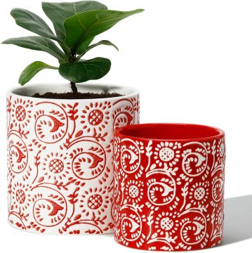 Modern Ceramic Cylinder Pots with Drainage - Ideal for Home Decoration