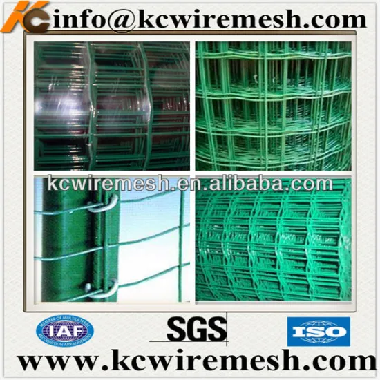 High quality PVC coated holland wire mesh in green.