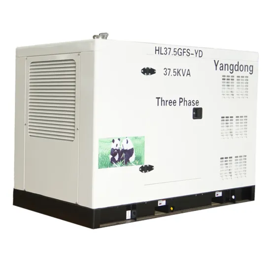 SHANHUA 30 kW cheap noiseless generator for sale