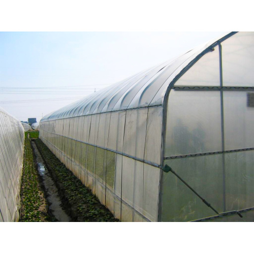 Large Span Single Unit Greenhouse