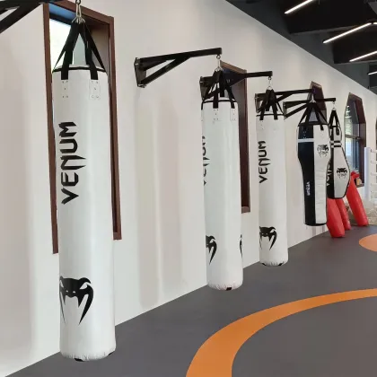 Professional Heavy Bag Boxing