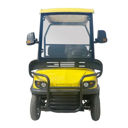 2024 Adults Single Seat Golf Buggy G Wagon Cargo Golf Car