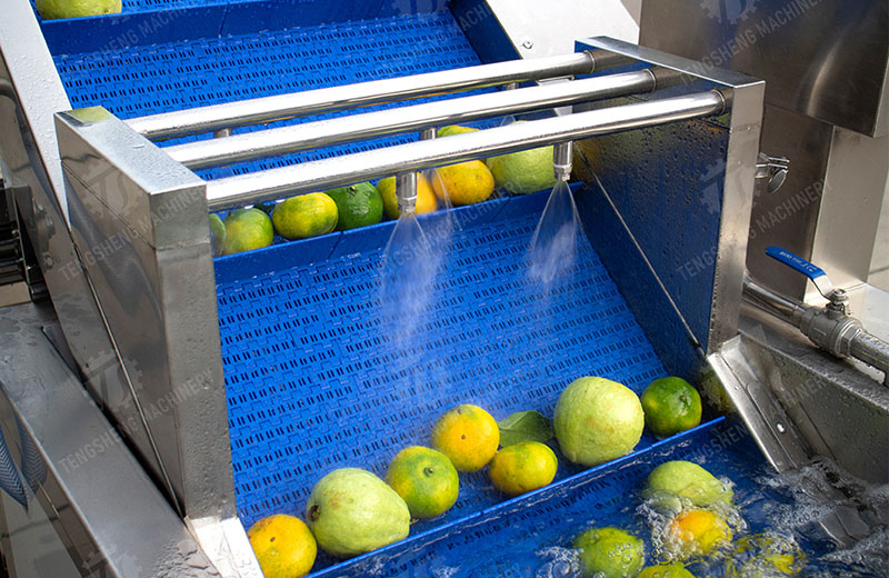 vegetable and fruit washing machine