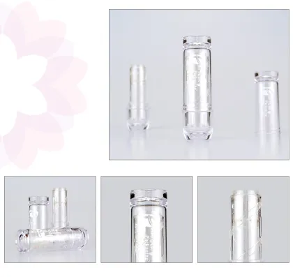 Transparent Lipstick Casing - Beauty Girl Cosmetic Tube