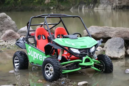 200cc Adult Off-Road Go Kart with 4 Wheels and 2 Seaters