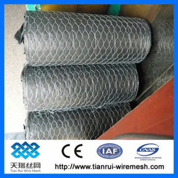 Galvanized hexagonal wire mesh for chicken