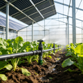 Invernadero agrícola fotovoltaico para cultivo interior