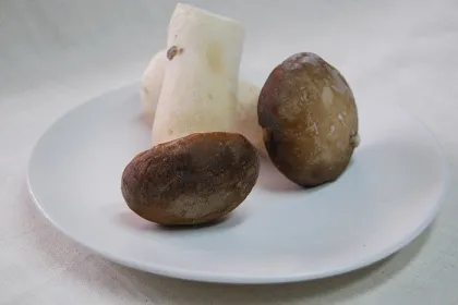 New Harvest Delicious Fresh Frozen Foods / Iqf Frozen Mushroom