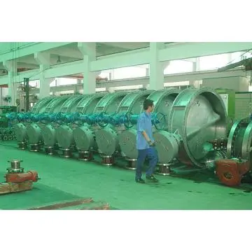 Big Butterfly Valve