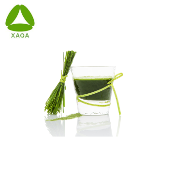 Organic Barley Grass Extract Pearl Barley Grass Powder