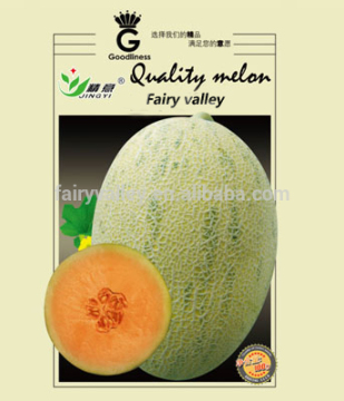 High sweetness hybrid F1 hami melon seeds For Growing-Bao Fen 8501