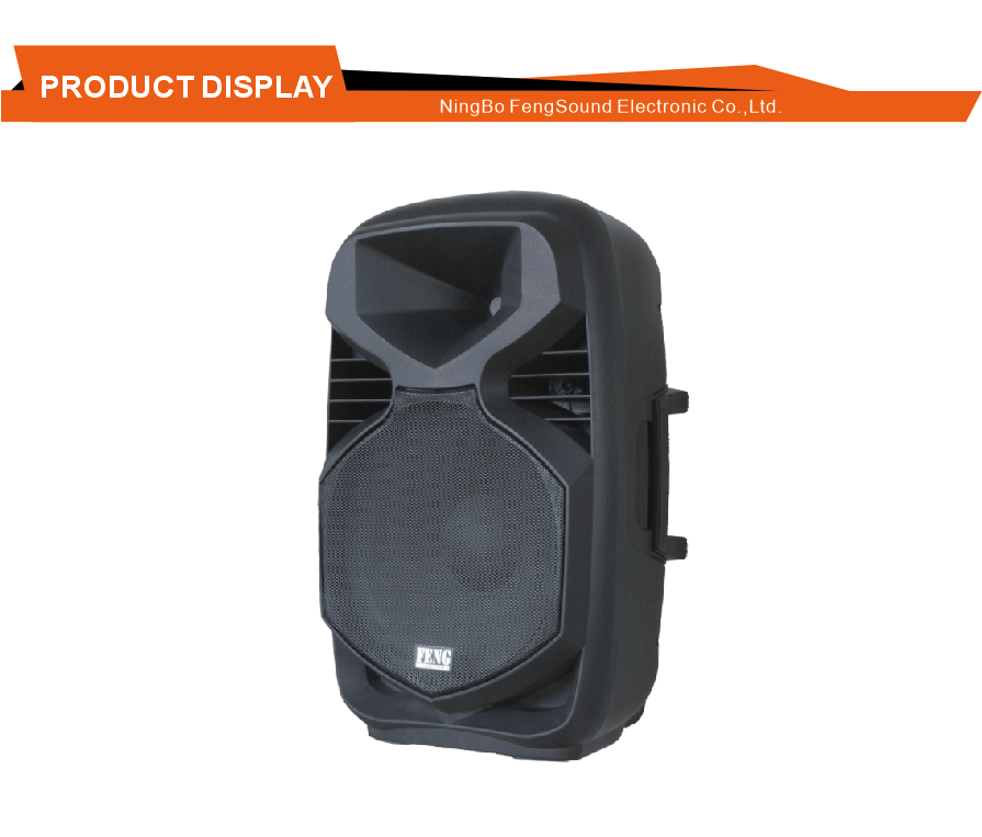 Pub Restaurant Active Speaker