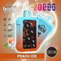 Bang King 20000Puffs Mesh Coil Eshisha Disposable Vape