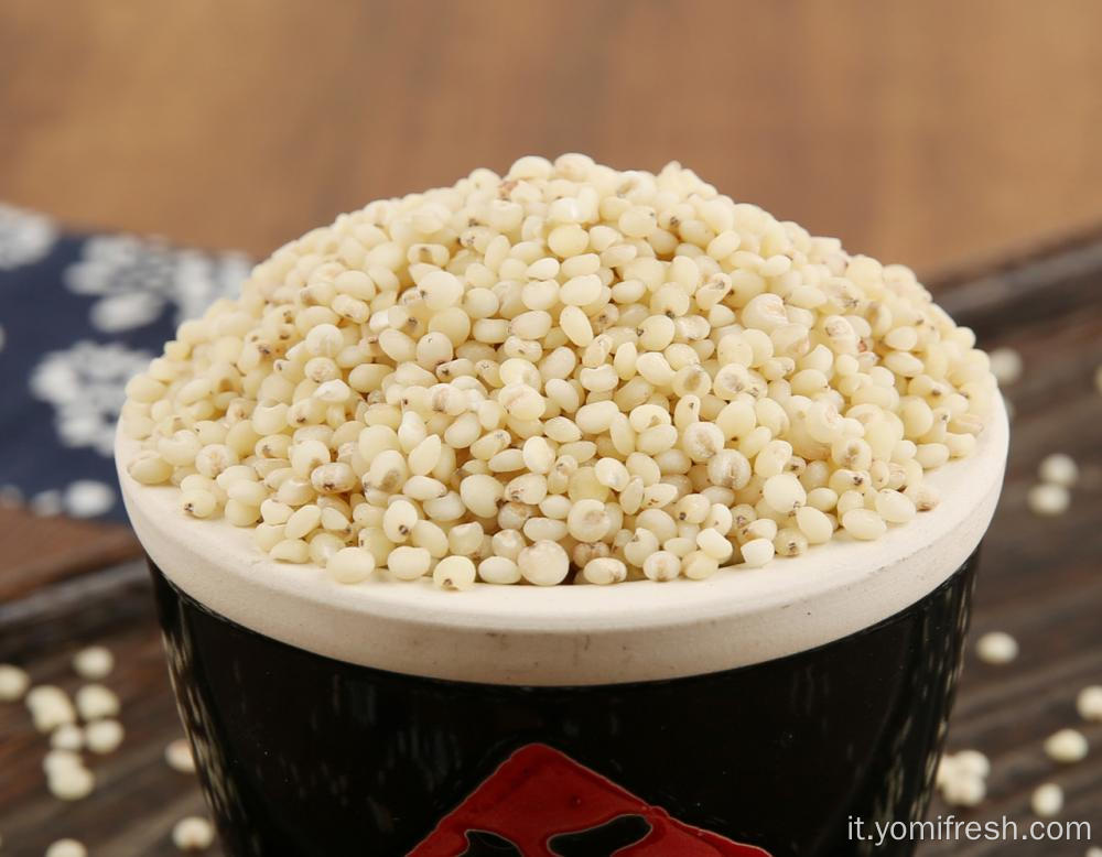 Sorghum Rice Health Benefici