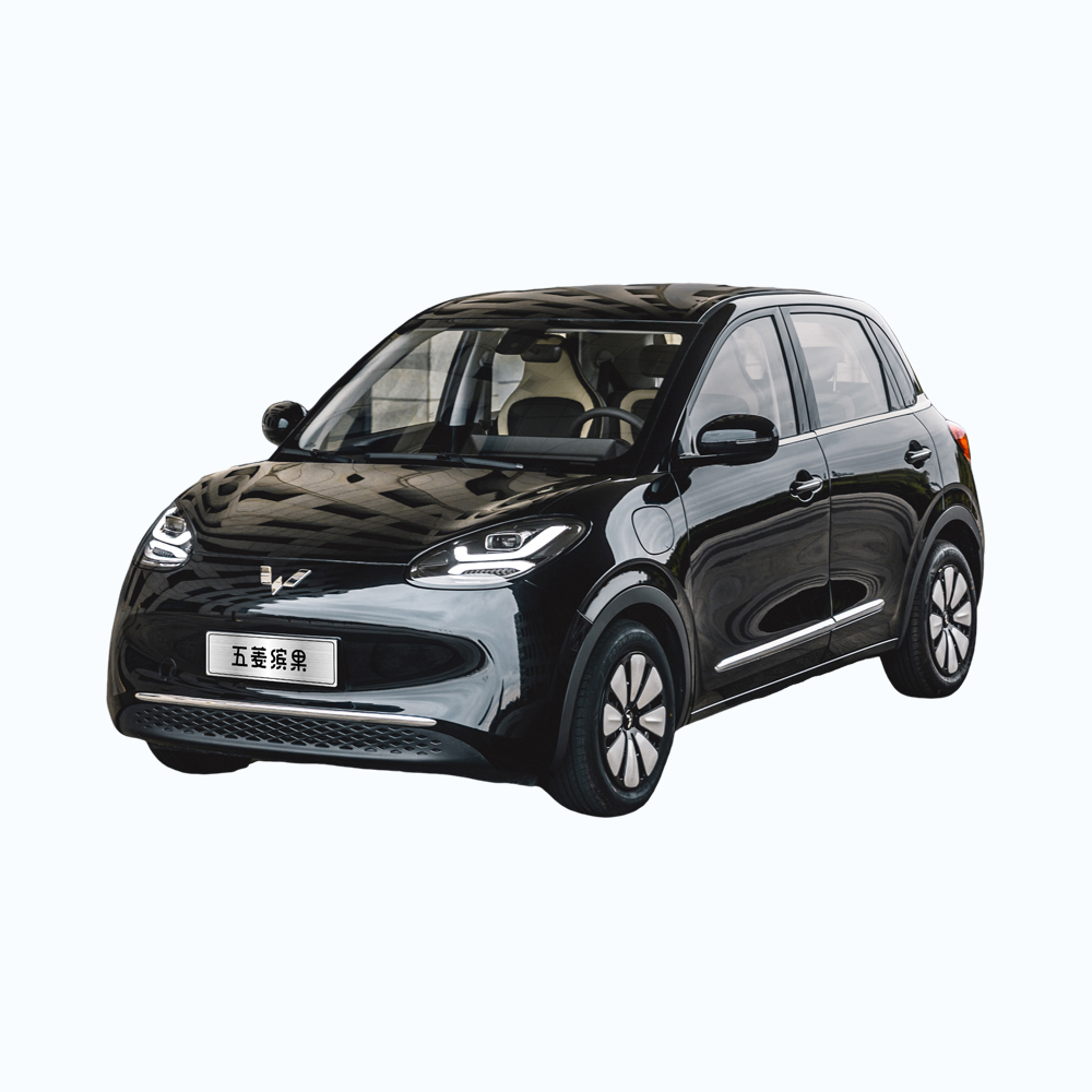 Wuling Bingo family car