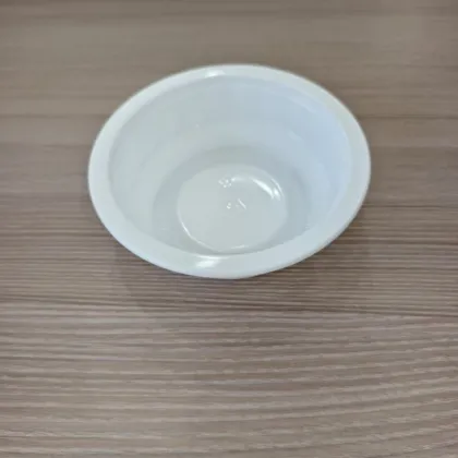 Disposable PET Plastic Food Serving Trays