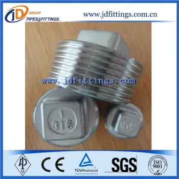 DIN2999 Thread Stainless Steel 3/4 Square Plug