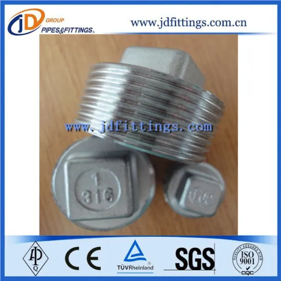 Stainless Steel Pipe Fittings Hex/Round/Square Plug
