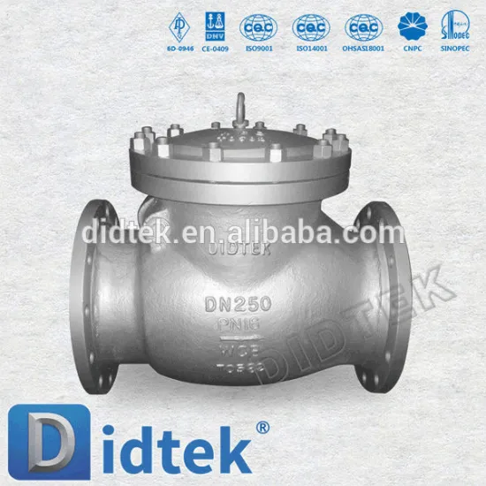 Didtek Medium DIN Swing Check Valve