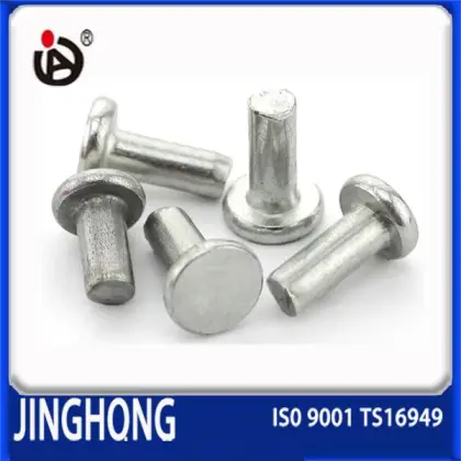 High Quality Non-Standard Flat Head Solid Rivet                        
                                                Quality Choice